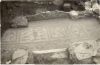Morricone - Città murata. Mosaico con pesci e uccelli in uno dei vani del sacello dell'Eracle